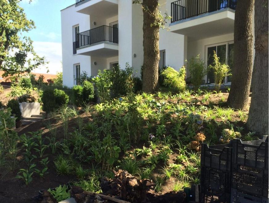 Villa Lindholm Wohnung 5 Penthouse 宾茨 外观 照片